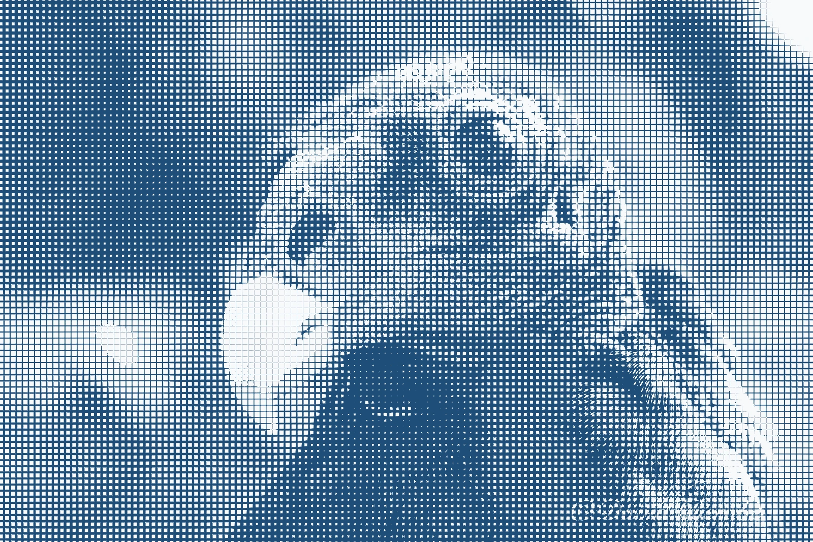 The vulture as graph-paper lines.