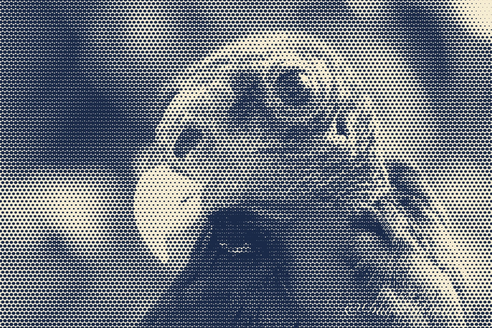 The vulture in navy and cream hexagons.