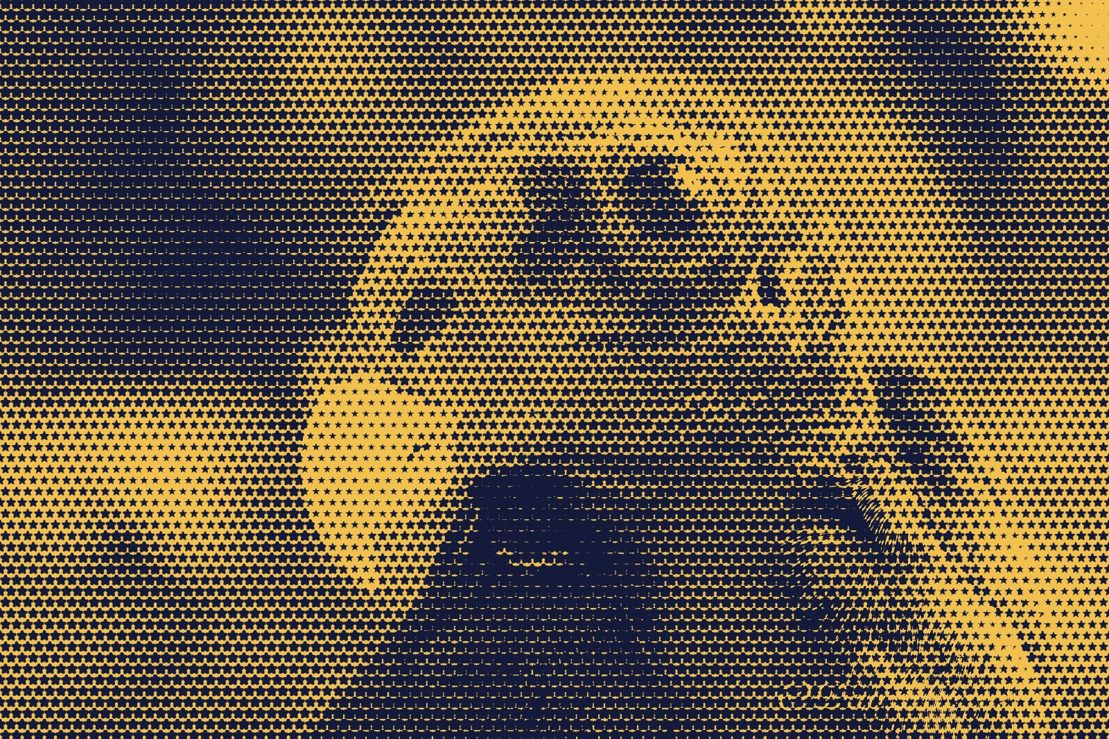 The vulture drawn with gold stars on navy.