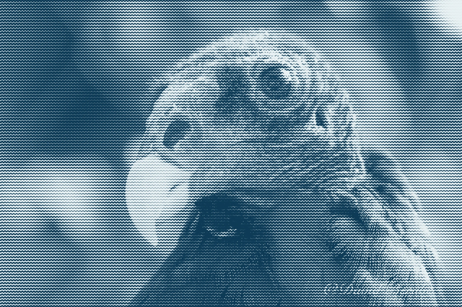 The vulture in rippled lines.